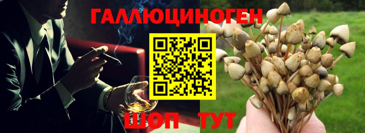 Псилоцибиновые грибы прущие грибы Миллерово